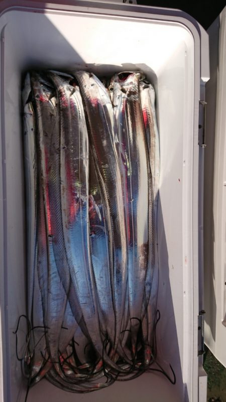 FISHING RISKY 釣果