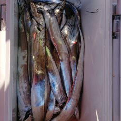 FISHING RISKY 釣果