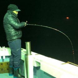 あみや渡船 JIGBOY 釣果