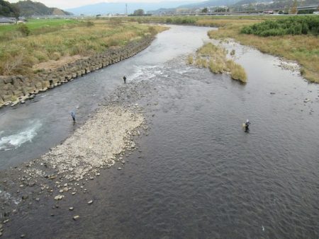 狩野川(狩野川漁業協同組合) 釣果