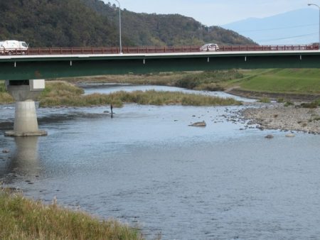 狩野川(狩野川漁業協同組合) 釣果