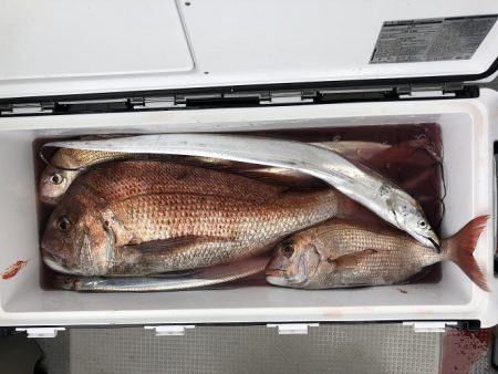 sea boss　シーボス 釣果