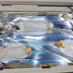 松本釣船2 釣果