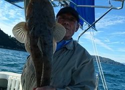 愛裕南丸 釣果