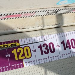 松本釣船２ 釣果