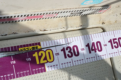 松本釣船２ 釣果