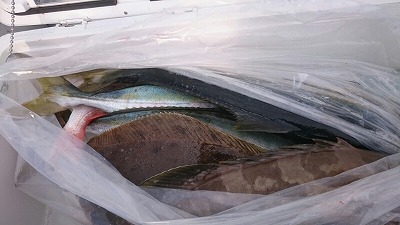 海龍丸（福岡） 釣果