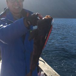 第八平成丸 釣果