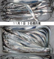 来温丸（らいおんまる） 釣果