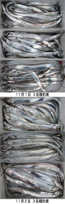 来温丸（らいおんまる） 釣果