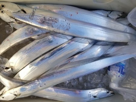 オーフリー 釣果