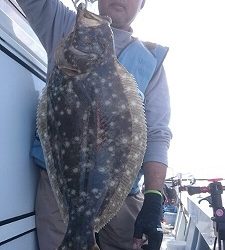海龍丸（福岡） 釣果