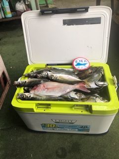 吉明丸 釣果