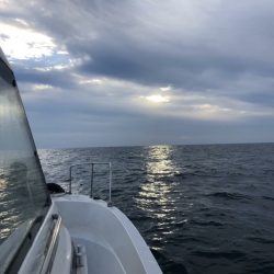 マタウマリンサービス 釣果