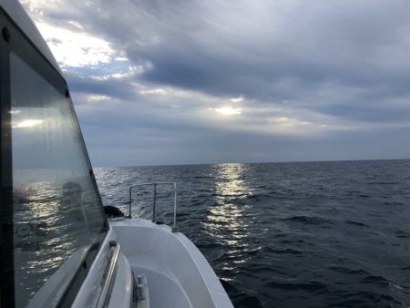 マタウマリンサービス 釣果