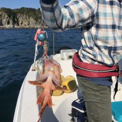 マタウマリンサービス 釣果