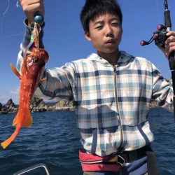 マタウマリンサービス 釣果