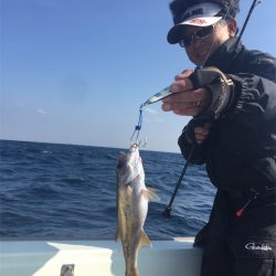 マタウマリンサービス 釣果