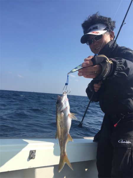 マタウマリンサービス 釣果