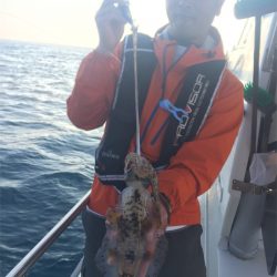 マタウマリンサービス 釣果