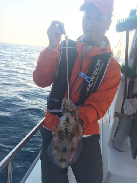 マタウマリンサービス 釣果