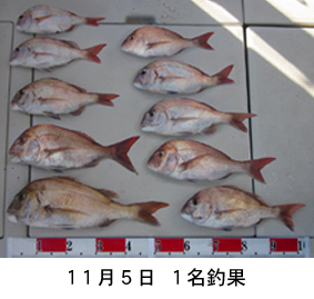 来温丸（らいおんまる） 釣果