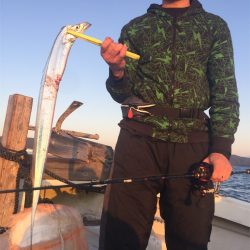 マタウマリンサービス 釣果