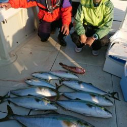 オーフリー 釣果