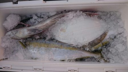 海龍丸(福岡) 釣果