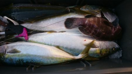 海龍丸(福岡) 釣果