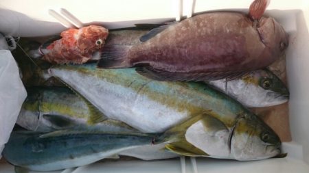 海龍丸(福岡) 釣果