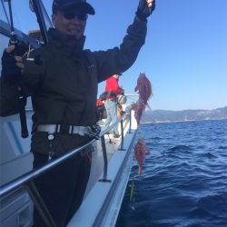 マタウマリンサービス 釣果