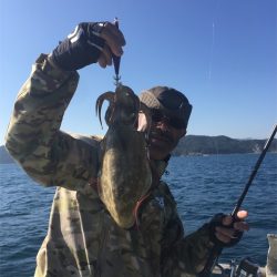 マタウマリンサービス 釣果