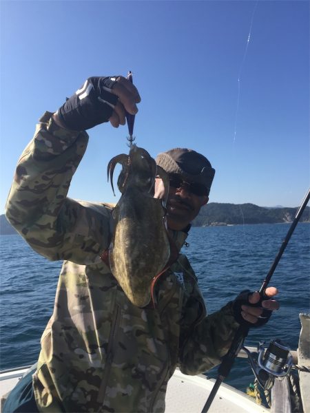 マタウマリンサービス 釣果