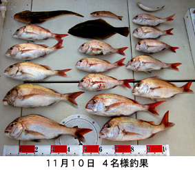 来温丸（らいおんまる） 釣果