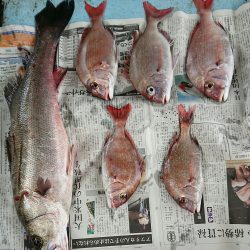 明神釣船 釣果