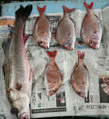 明神釣船 釣果