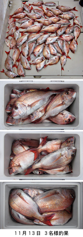 来温丸（らいおんまる） 釣果