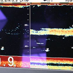 松本釣船２ 釣果