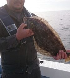 海龍丸(福岡) 釣果