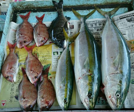 明神釣船 釣果
