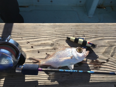 大宝丸 釣果