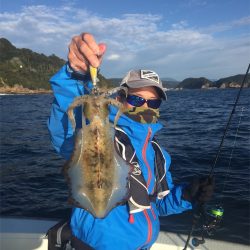 マタウマリンサービス 釣果