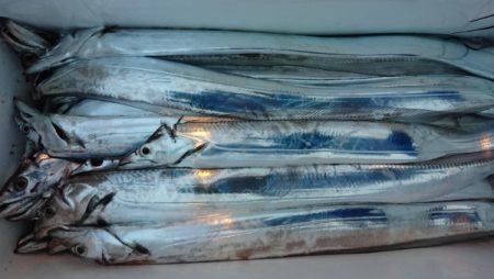 オーフリー 釣果