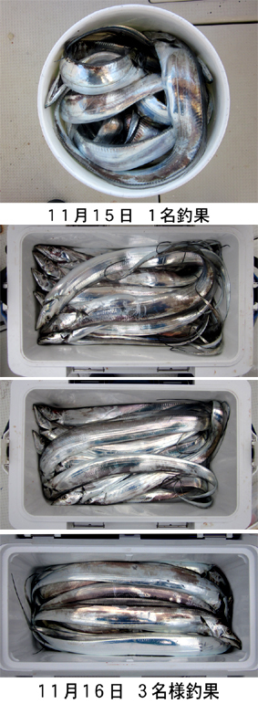 来温丸（らいおんまる） 釣果