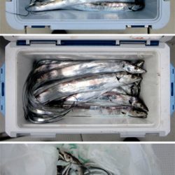 来温丸(らいおんまる) 釣果