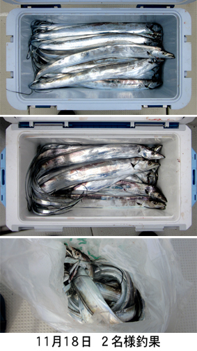 来温丸（らいおんまる） 釣果