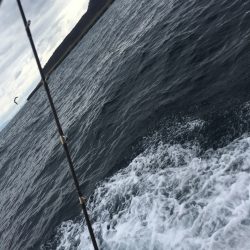 第八平成丸 釣果