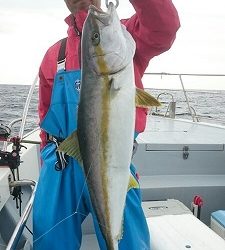 海龍丸(福岡) 釣果
