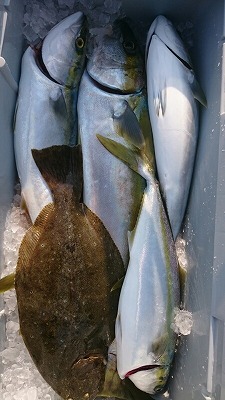 海龍丸(福岡) 釣果